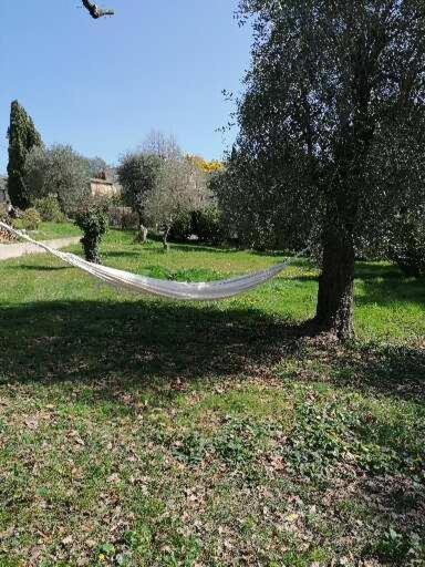 Studio Au Milieu D Une Oliveraie Le Mas De La Huppe Tourrettes-sur-Loup Exteriör bild