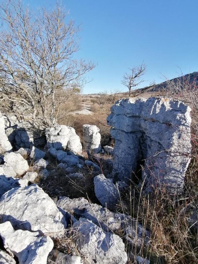 Studio Au Milieu D Une Oliveraie Le Mas De La Huppe Tourrettes-sur-Loup Exteriör bild